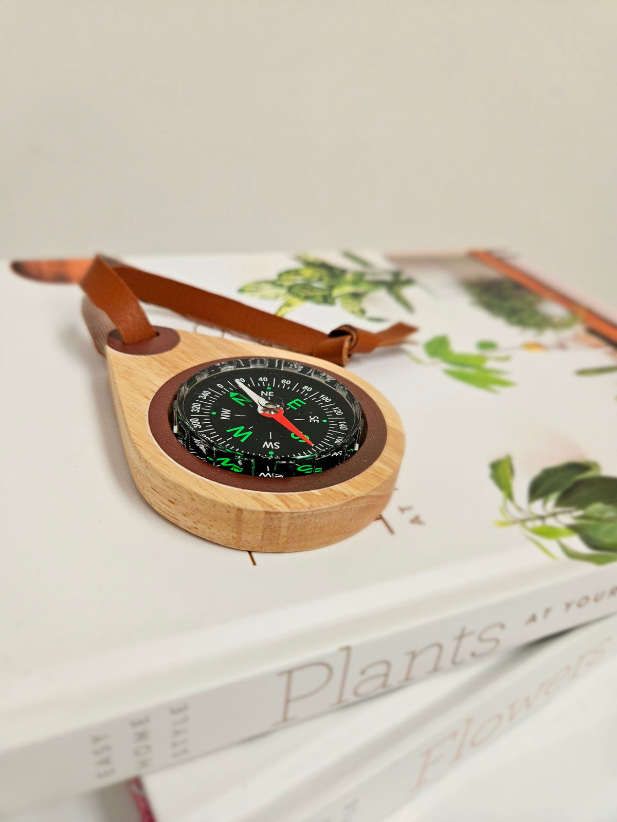 QToys Australia (USA) Wooden compass
