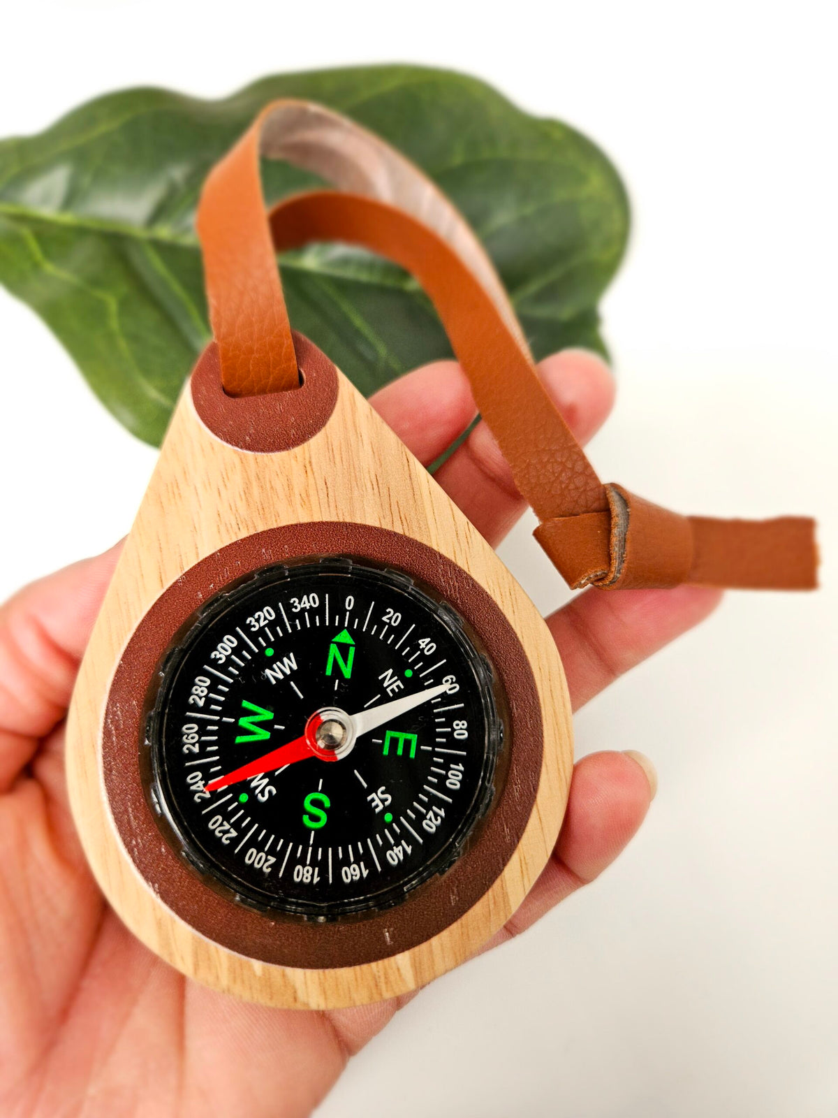 QToys Australia (USA) Wooden compass